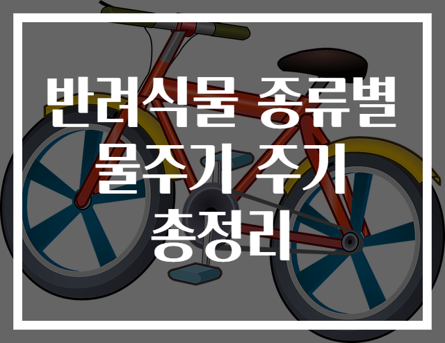 반려식물 종류별 물주기 주기 총정리 - 아드웹백 지식창고