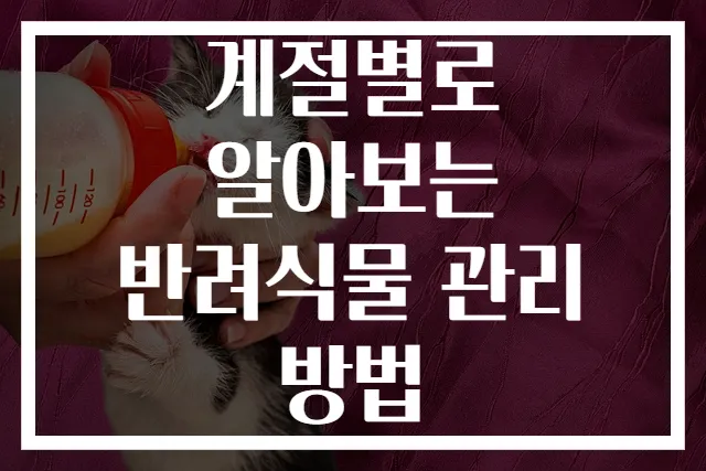 계절별로 알아보는 반려식물 관리 방법