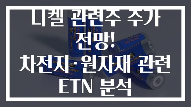 니켈 관련주 주가 전망! 차전지·원자재 관련 ETN 분석