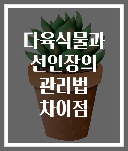 다육식물과 선인장의 관리법 차이점