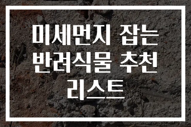 미세먼지 잡는 반려식물 추천 리스트