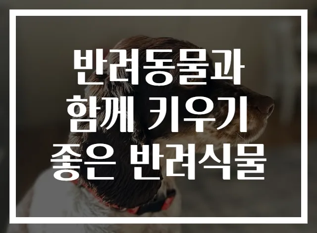 반려동물과 함께 키우기 좋은 반려식물