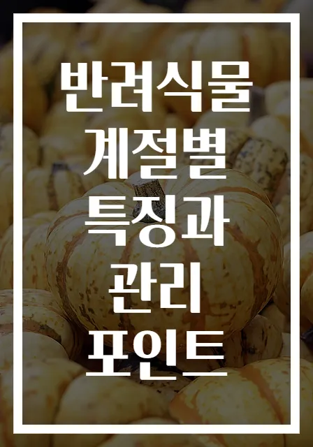 반려식물 계절별 특징과 관리 포인트