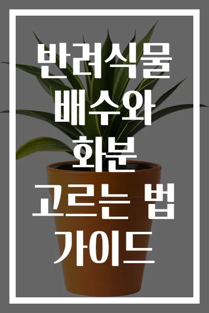 반려식물 배수와 화분 고르는 법 가이드