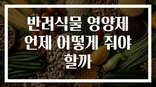 반려식물 영양제 언제 어떻게 줘야 할까