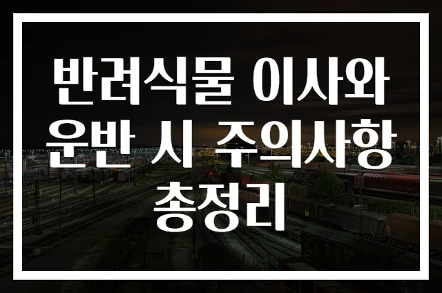 반려식물 이사와 운반 시 주의사항 총정리