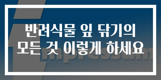 반려식물 잎 닦기의 모든 것 이렇게 하세요