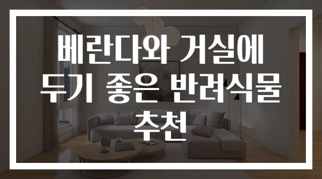 베란다와 거실에 두기 좋은 반려식물 추천