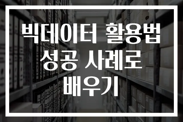 빅데이터 활용법 성공 사례로 배우기