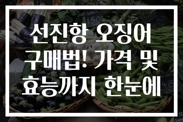 선진항 오징어 구매법! 가격 및 효능까지 한눈에