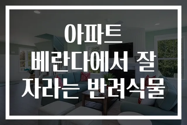 아파트 베란다에서 잘 자라는 반려식물
