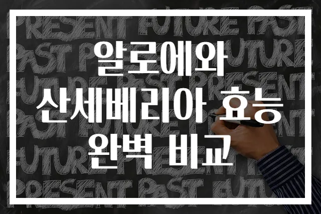 알로에와 산세베리아 효능 완벽 비교