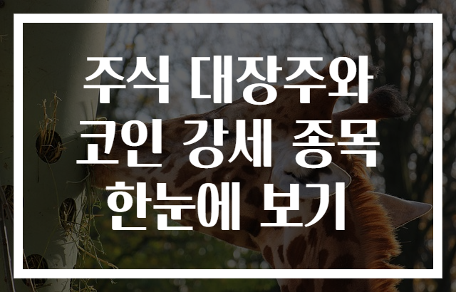 주식 대장주와 코인 강세 종목 한눈에 보기