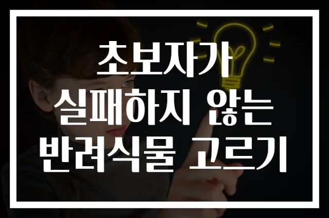 초보자가 실패하지 않는 반려식물 고르기