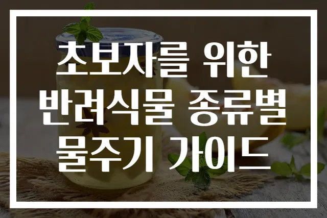 초보자를 위한 반려식물 종류별 물주기 가이드