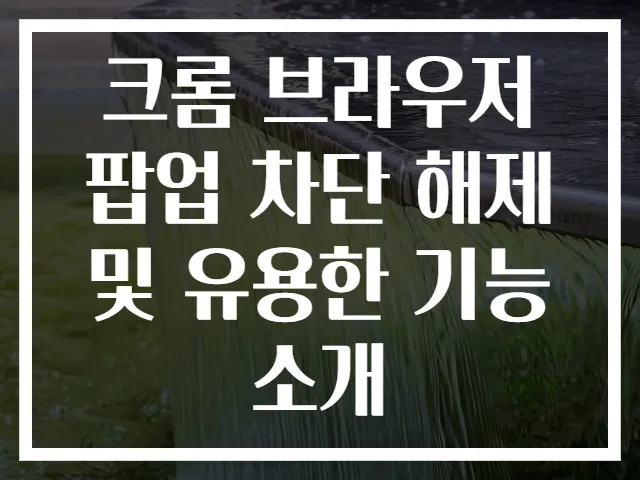 크롬 브라우저 팝업 차단 해제 및 유용한 기능 소개