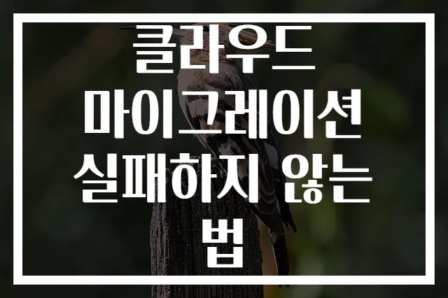 클라우드 마이그레이션 실패하지 않는 법