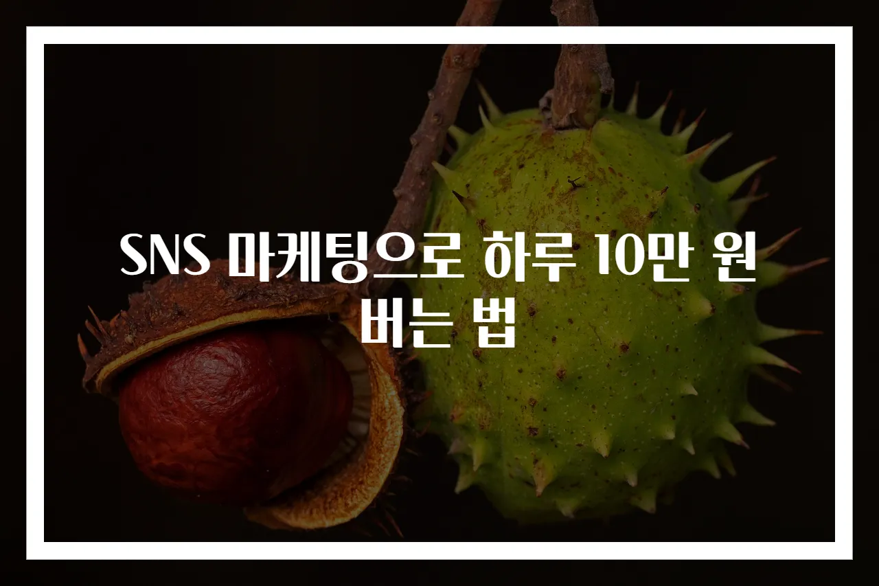 SNS 마케팅으로 하루 10만 원 버는 법