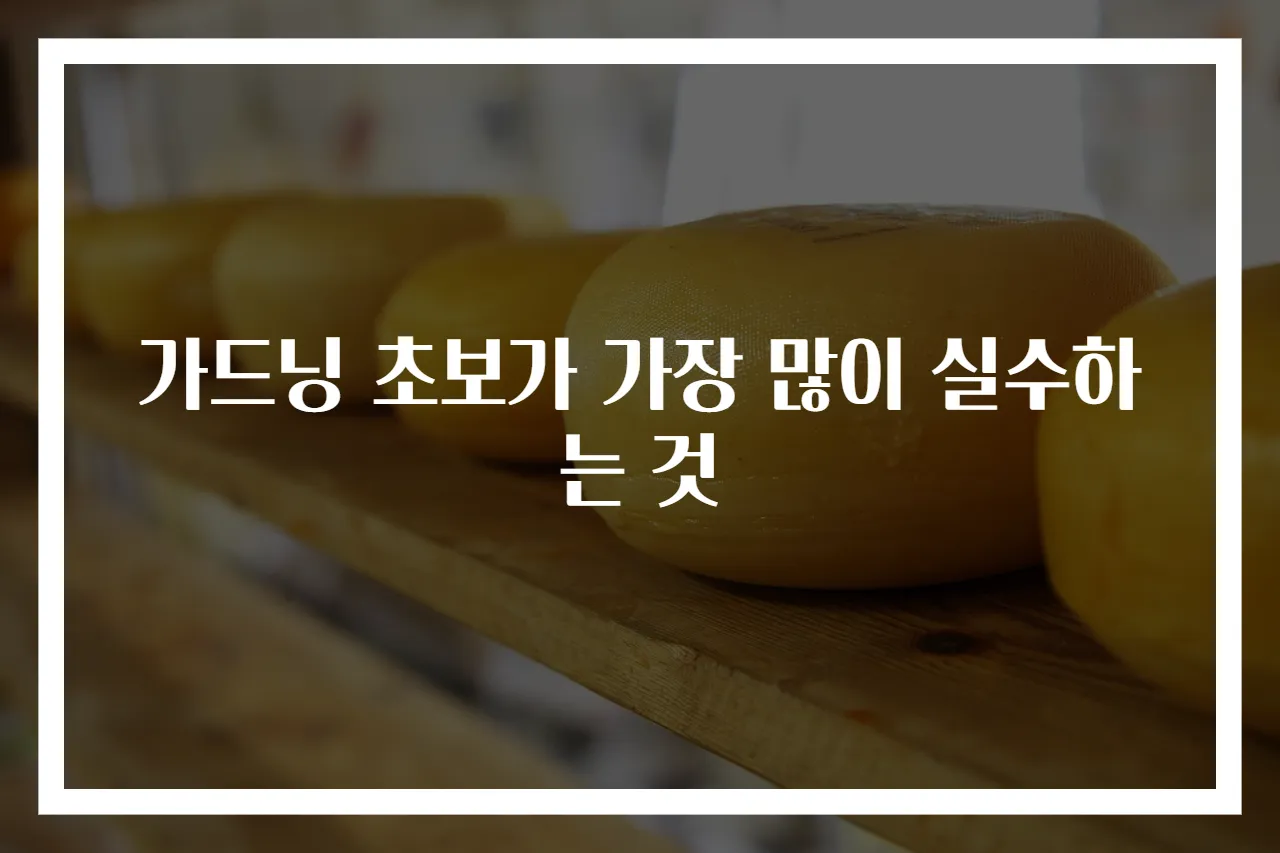 가드닝 초보가 가장 많이 실수하는 것