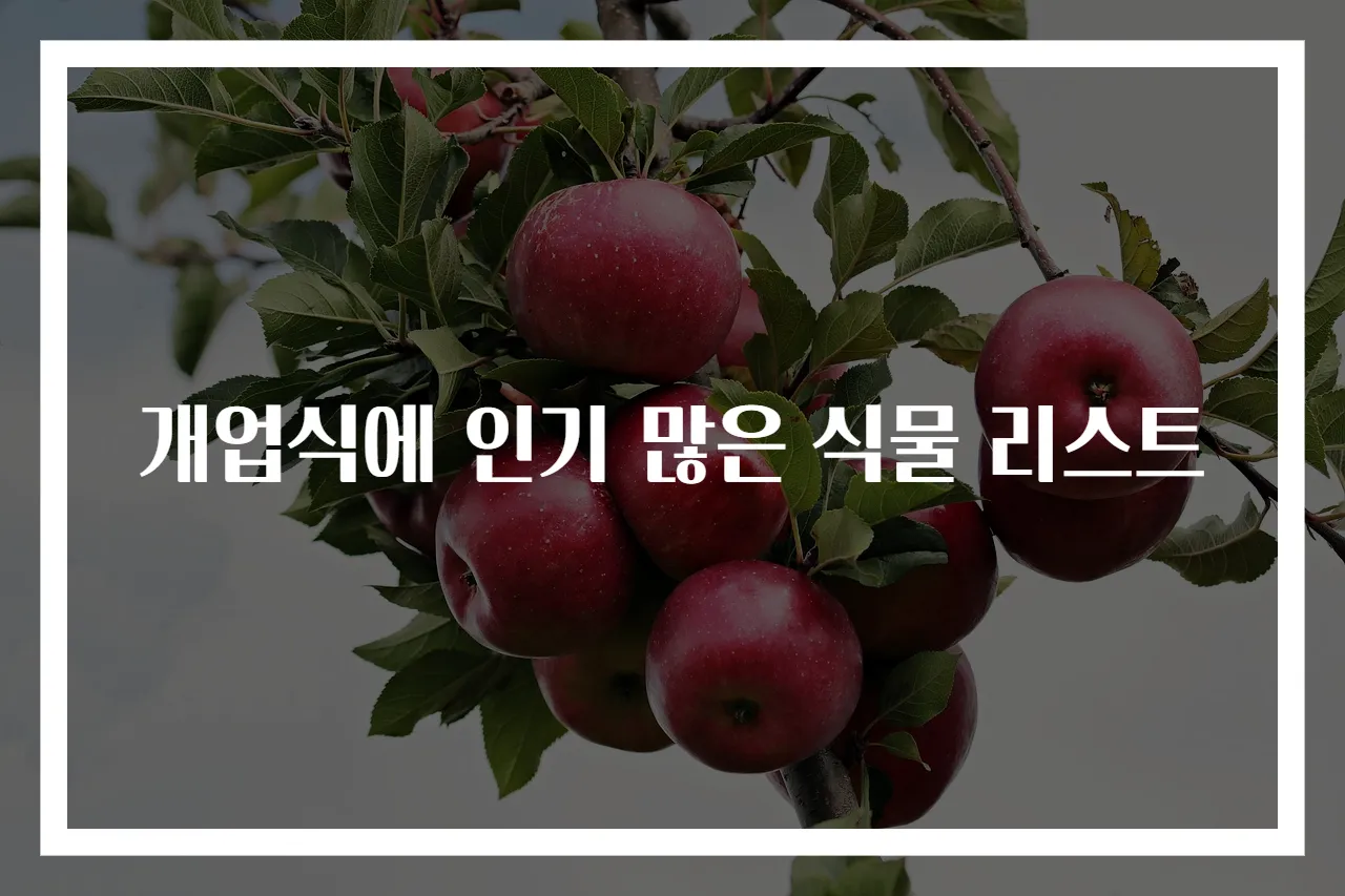 개업식에 인기 많은 식물 리스트