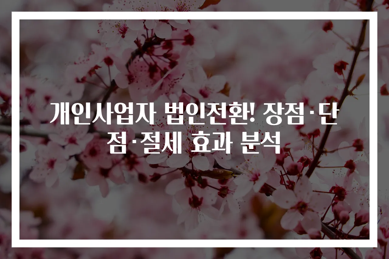 개인사업자 법인전환! 장점·단점·절세 효과 분석