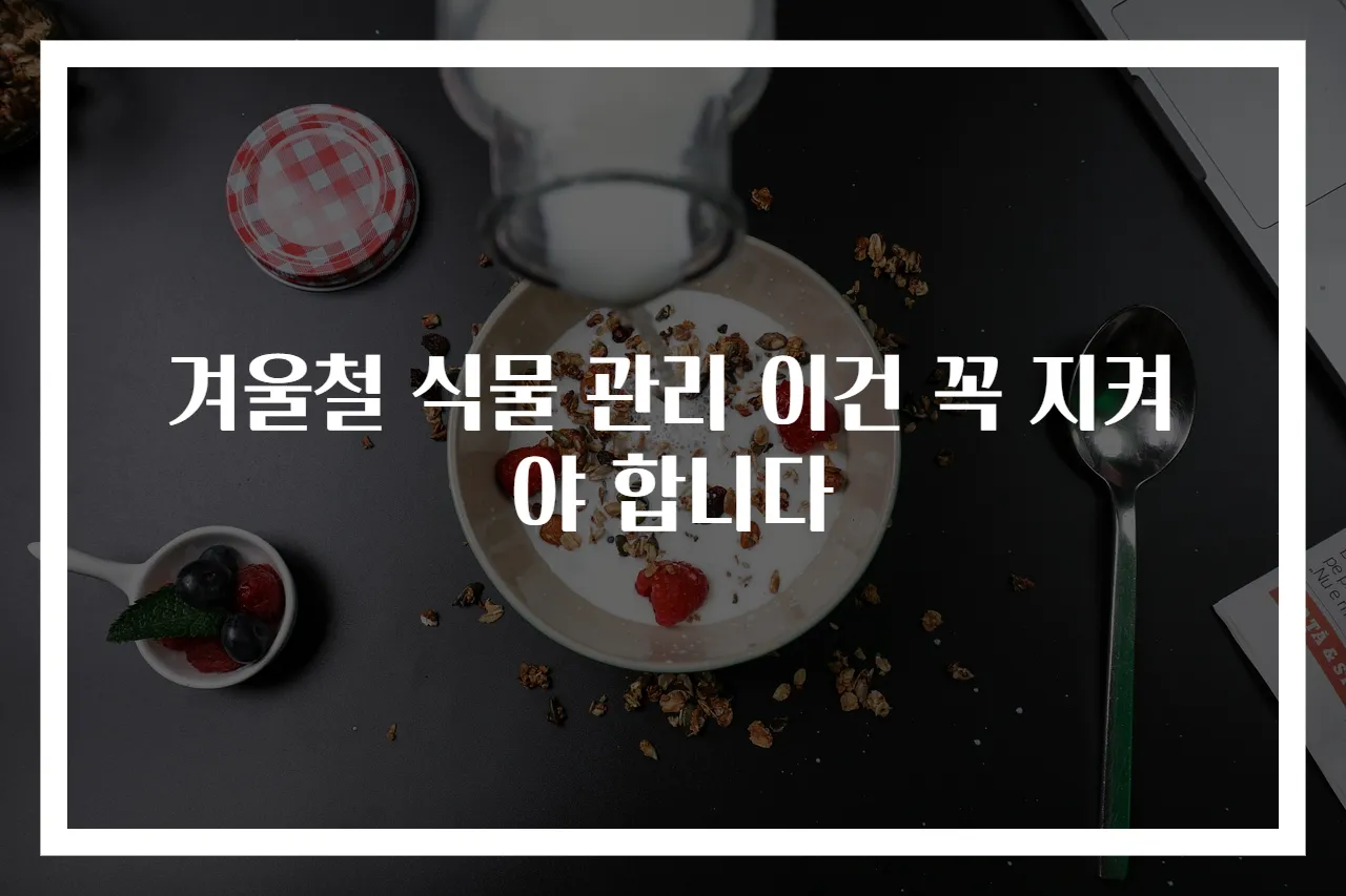 겨울철 식물 관리 이건 꼭 지켜야 합니다