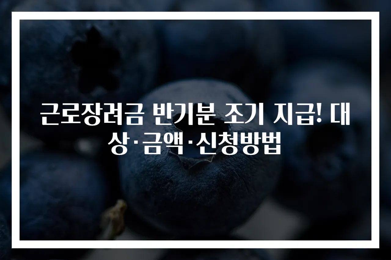 근로장려금 반기분 조기 지급! 대상·금액·신청방법