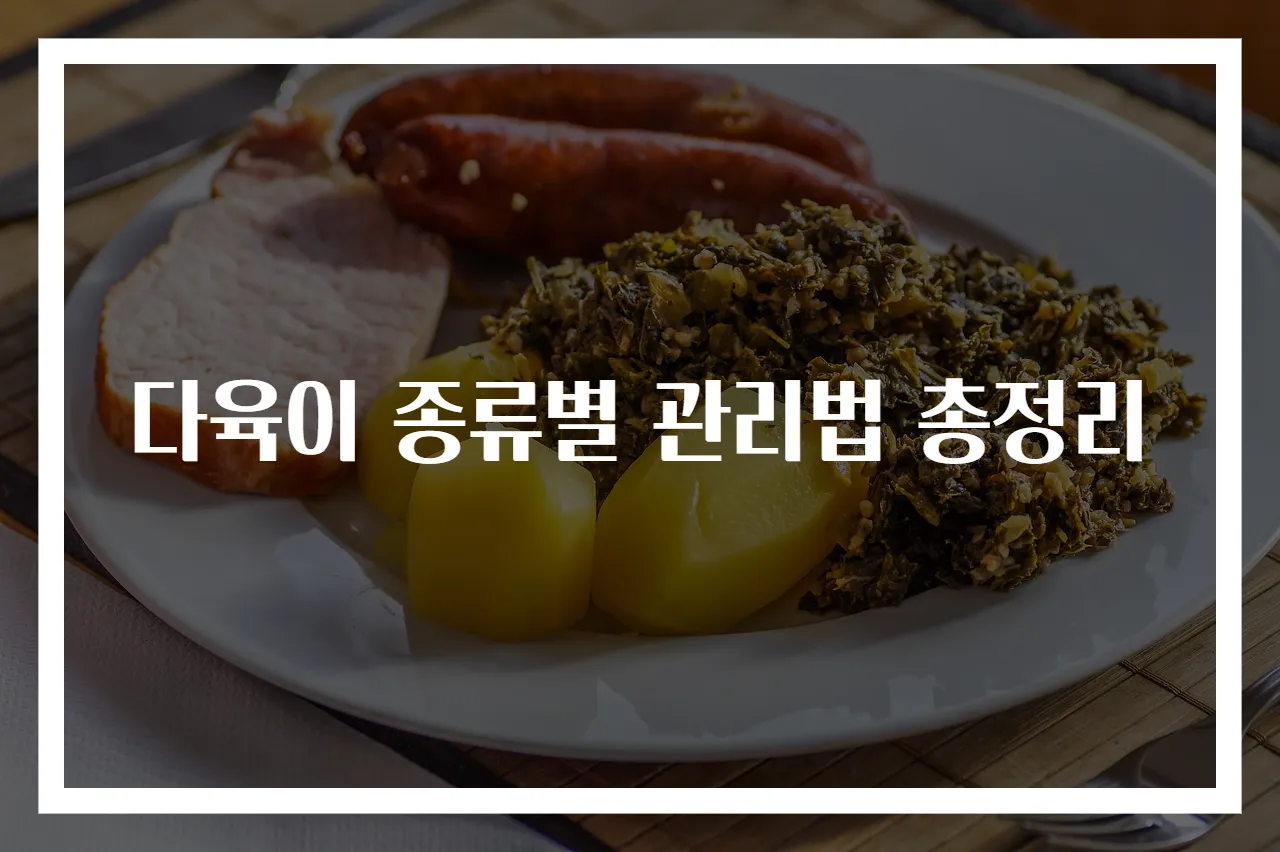 다육이 종류별 관리법 총정리