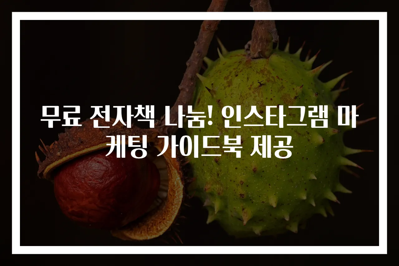 무료 전자책 나눔! 인스타그램 마케팅 가이드북 제공