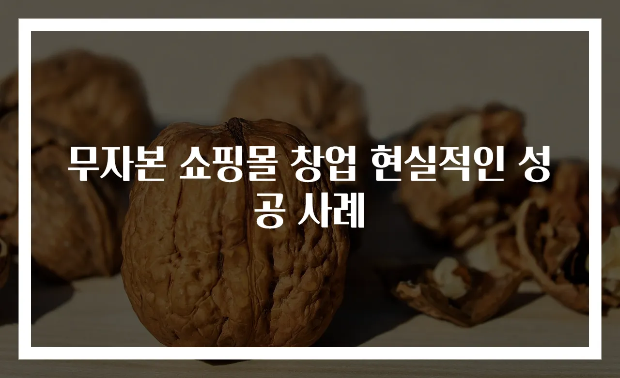 무자본 쇼핑몰 창업 현실적인 성공 사례