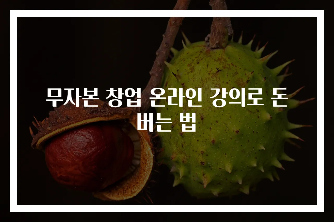 무자본 창업 온라인 강의로 돈 버는 법