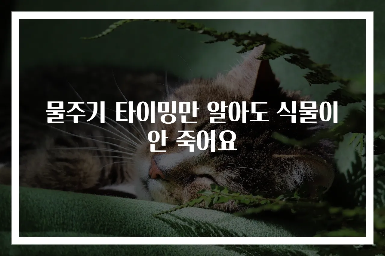 물주기 타이밍만 알아도 식물이 안 죽어요
