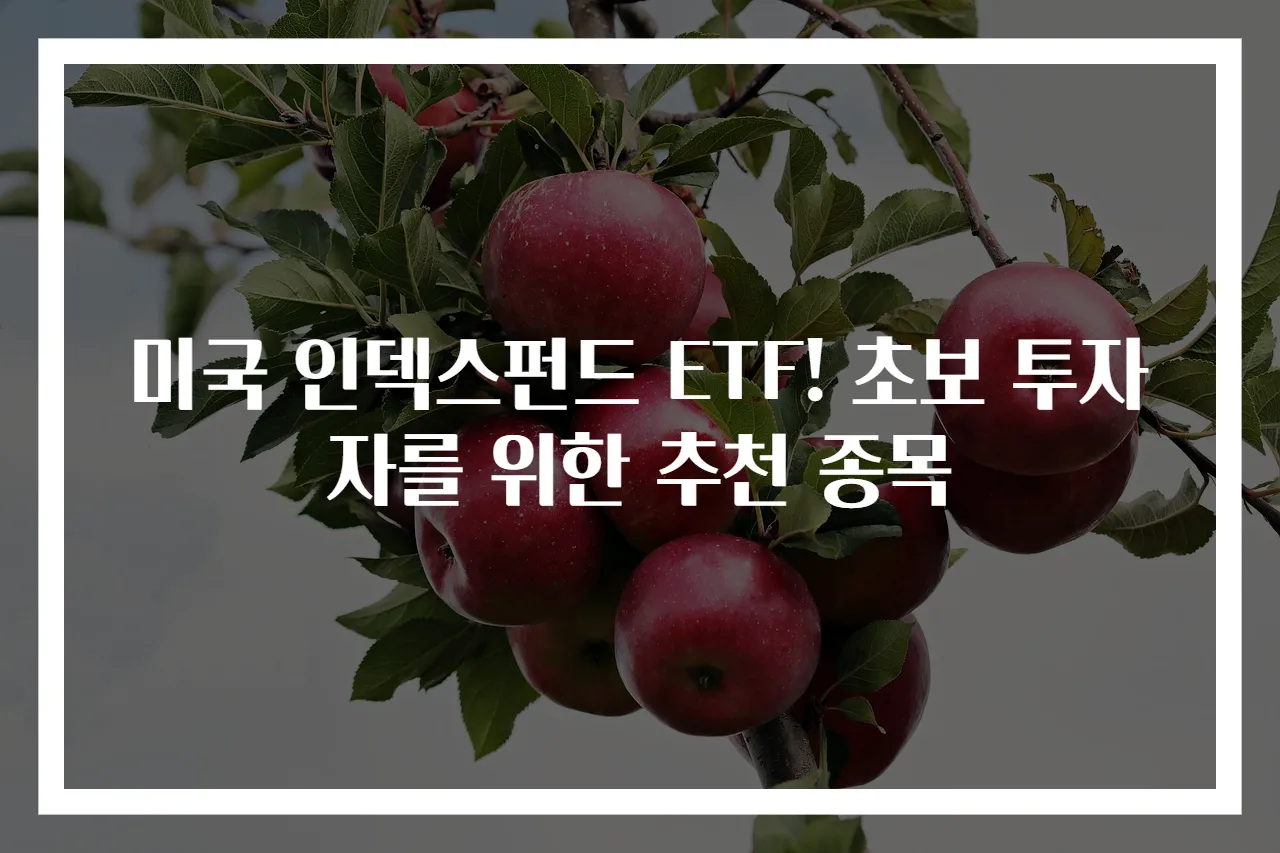 미국 인덱스펀드 ETF! 초보 투자자를 위한 추천 종목