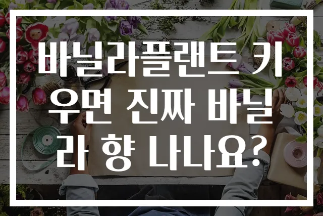 바닐라플랜트 키우면 진짜 바닐라 향 나나요?