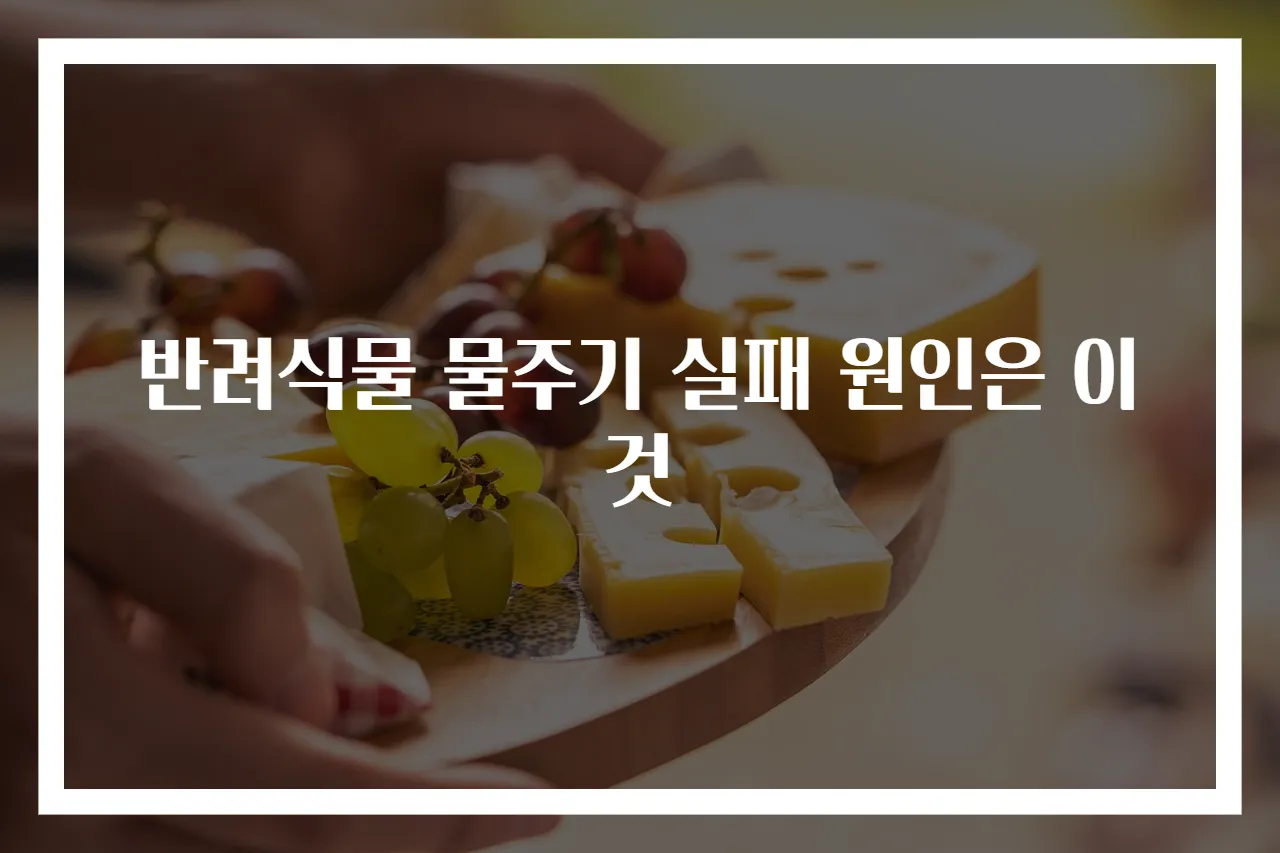 반려식물 물주기 실패 원인은 이것