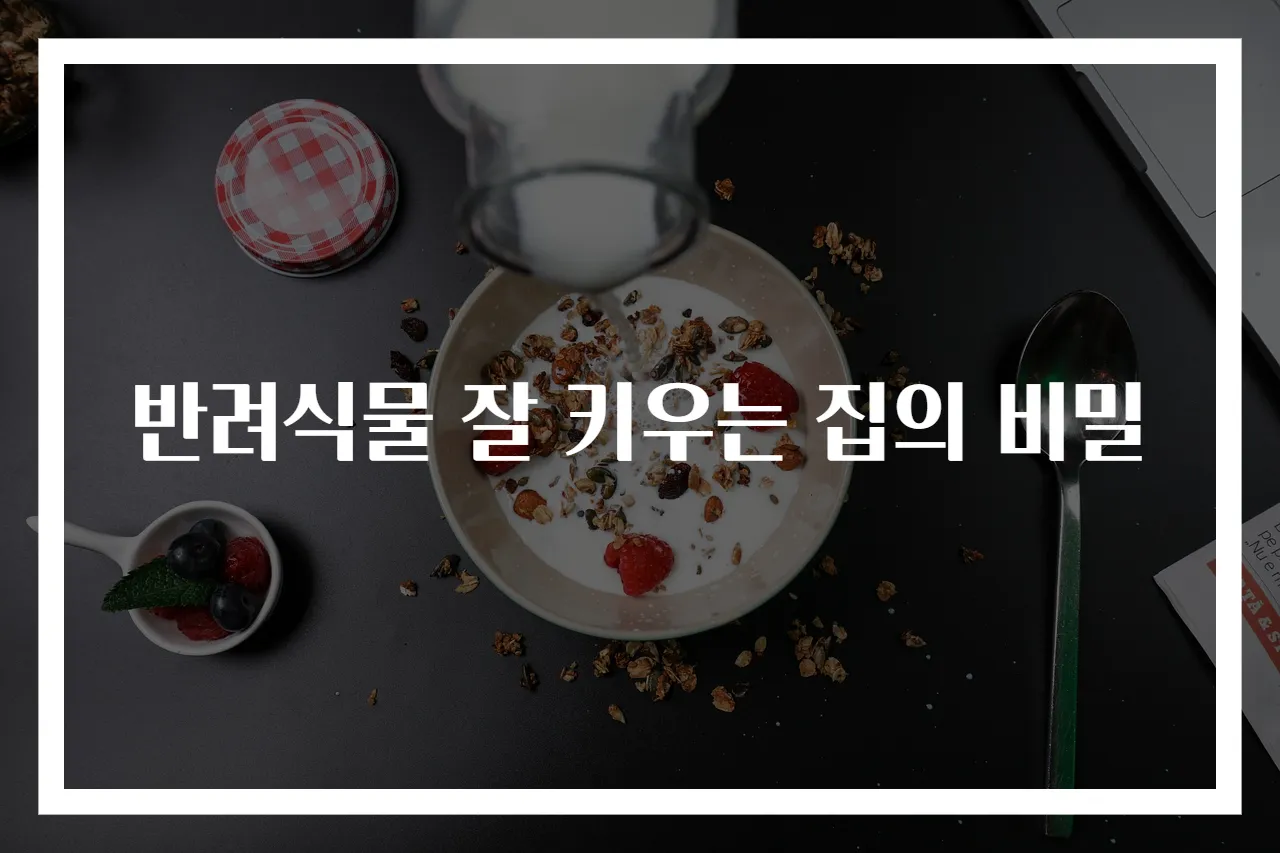 반려식물 잘 키우는 집의 비밀