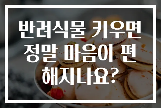 반려식물 키우면 정말 마음이 편해지나요?