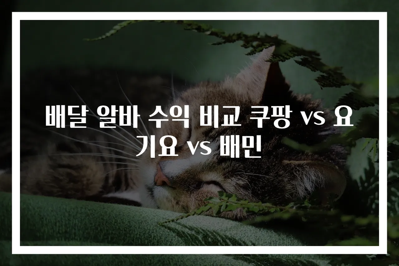 배달 알바 수익 비교 쿠팡 vs 요기요 vs 배민