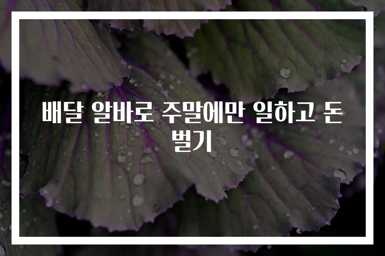 배달 알바로 주말에만 일하고 돈 벌기