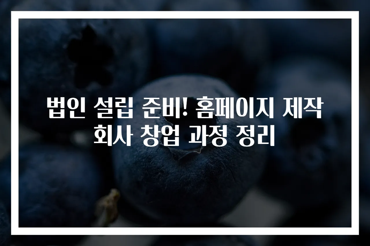 법인 설립 준비! 홈페이지 제작회사 창업 과정 정리