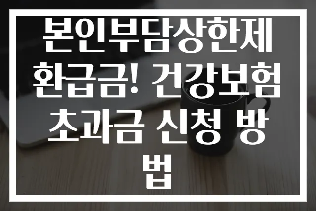 본인부담상한제 환급금! 건강보험 초과금 신청 방법