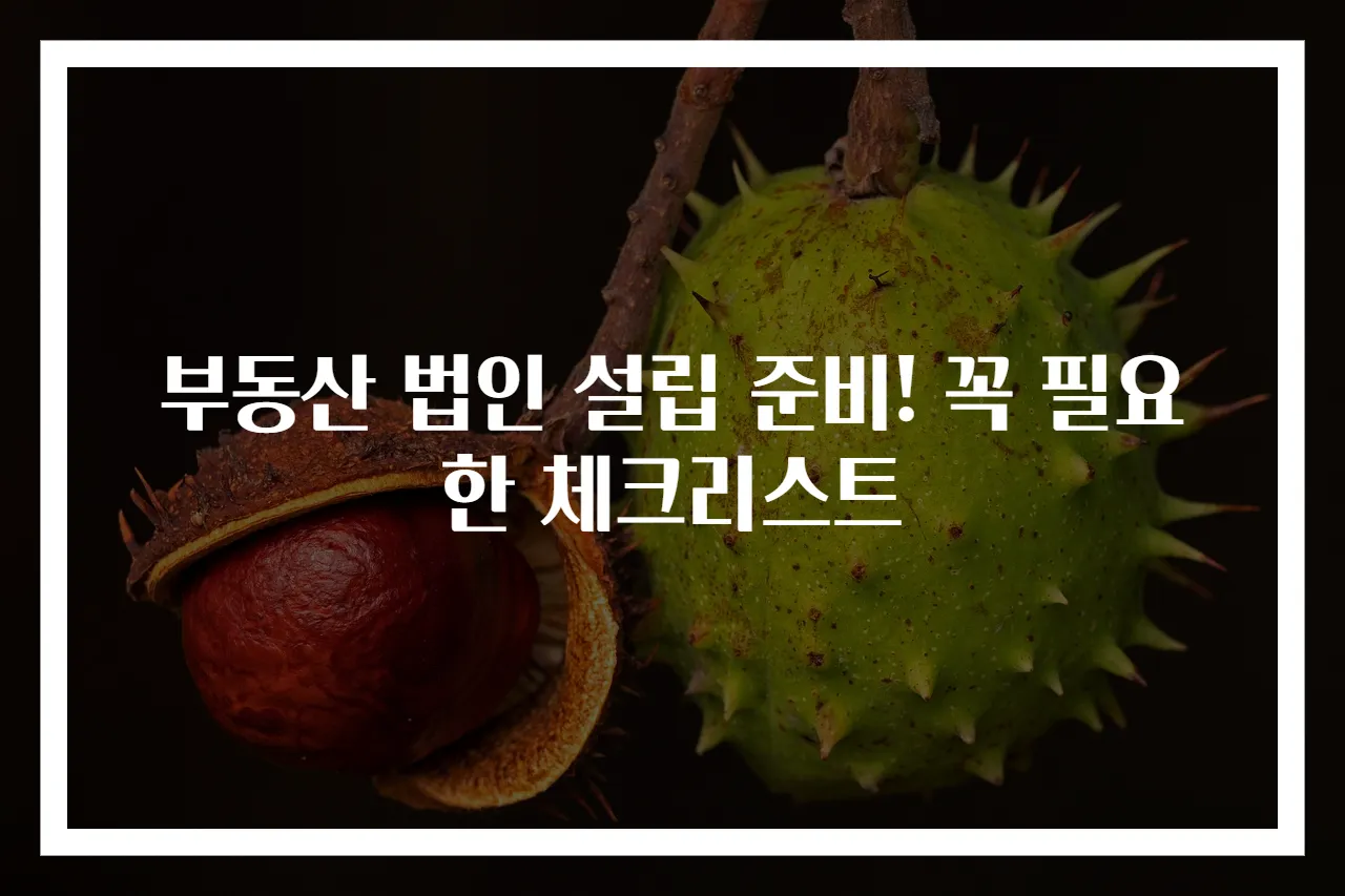 부동산 법인 설립 준비! 꼭 필요한 체크리스트