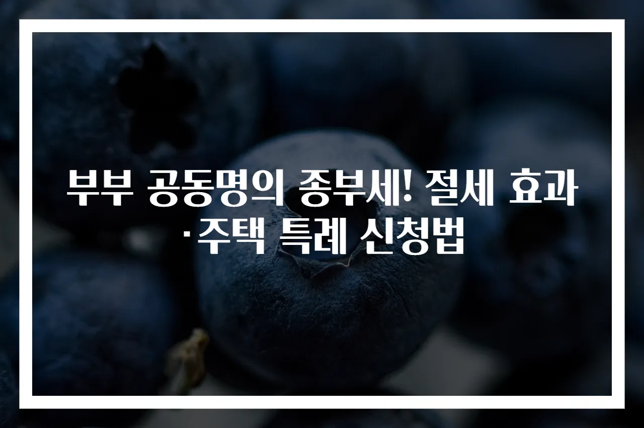 부부 공동명의 종부세! 절세 효과·주택 특례 신청법