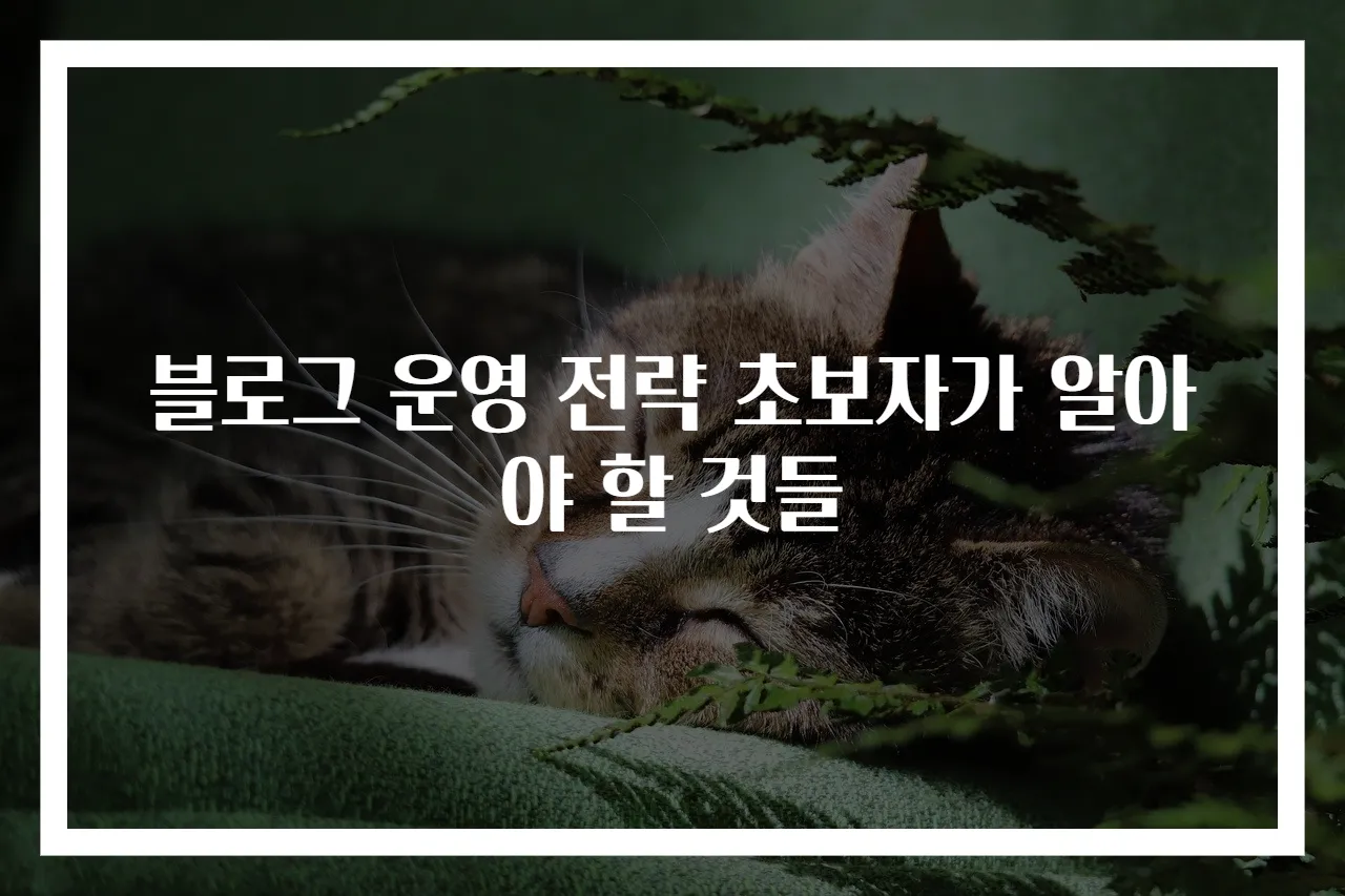 블로그 운영 전략 초보자가 알아야 할 것들