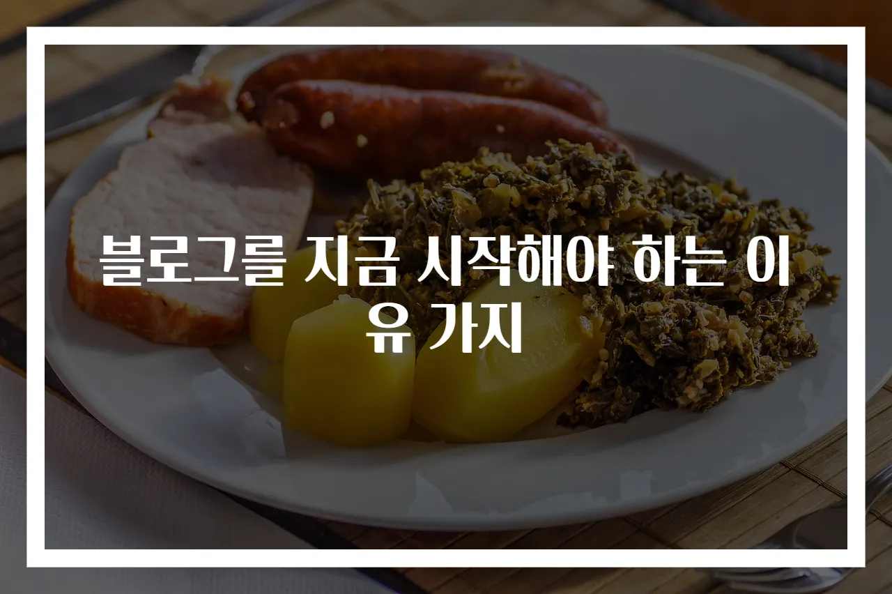 블로그를 지금 시작해야 하는 이유 가지