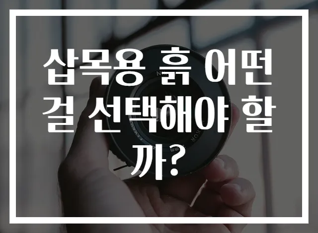 삽목용 흙 어떤 걸 선택해야 할까?