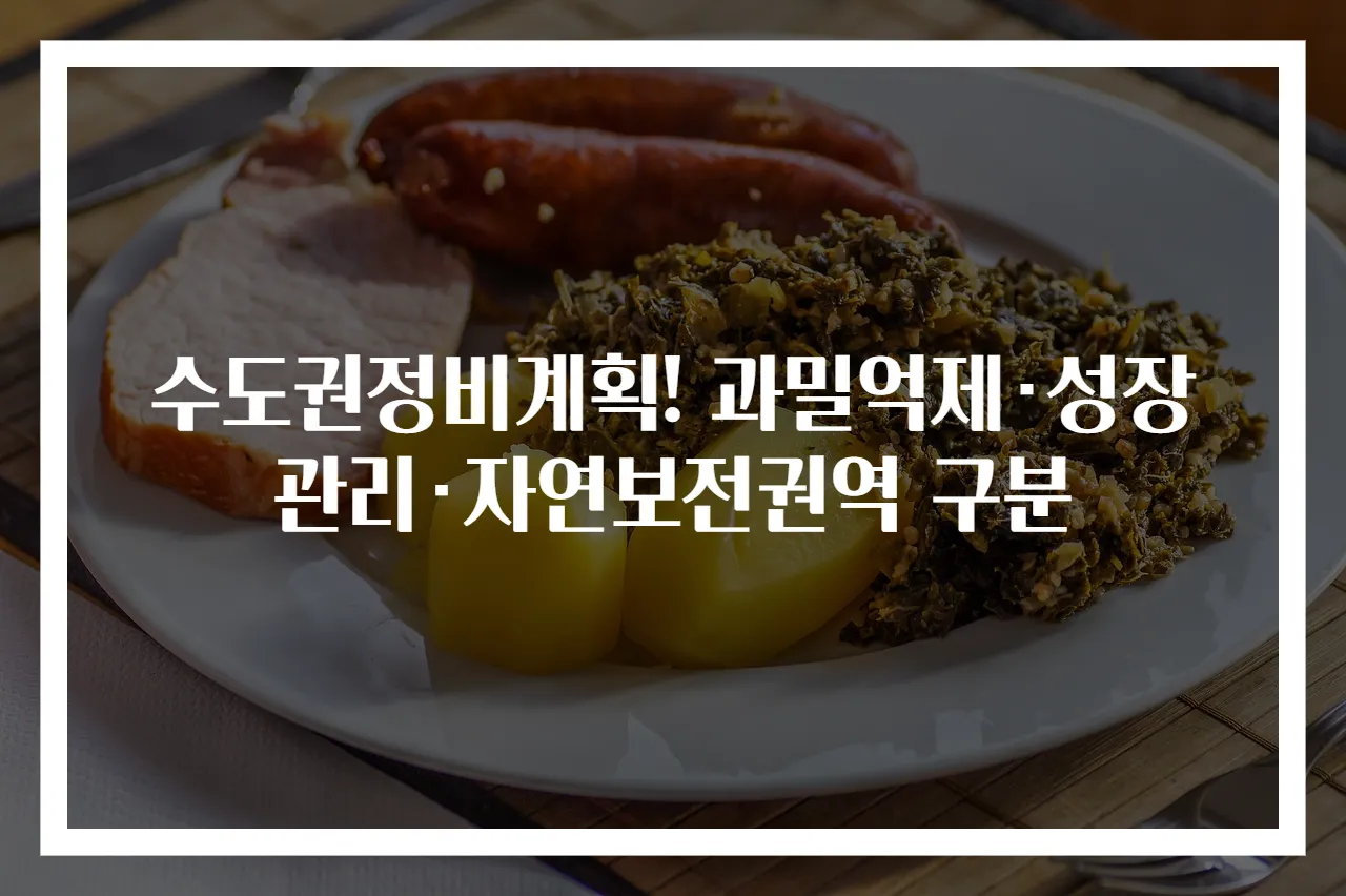 수도권정비계획! 과밀억제·성장관리·자연보전권역 구분
