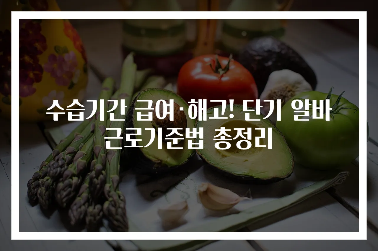 수습기간 급여·해고! 단기 알바 근로기준법 총정리