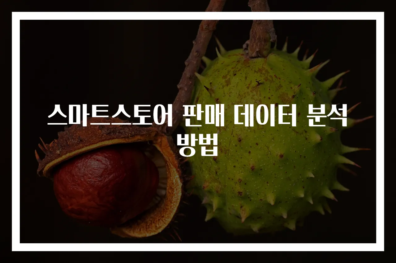 스마트스토어 판매 데이터 분석 방법