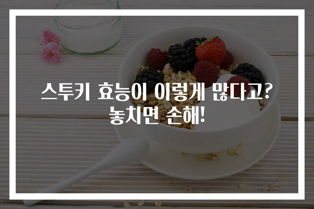스투키 효능이 이렇게 많다고? 놓치면 손해!